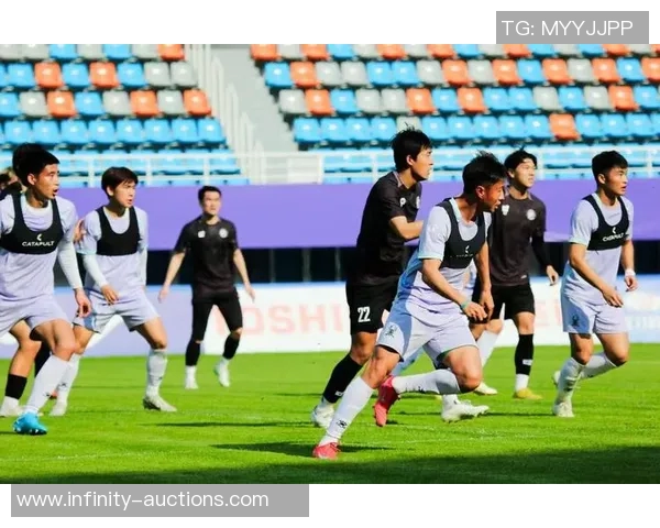 杭州足球队在锦标赛中的灵活性表现及其对比赛结果的影响分析 杭州足球队在锦标赛中的灵活性表现及其对比赛结果的影响分析