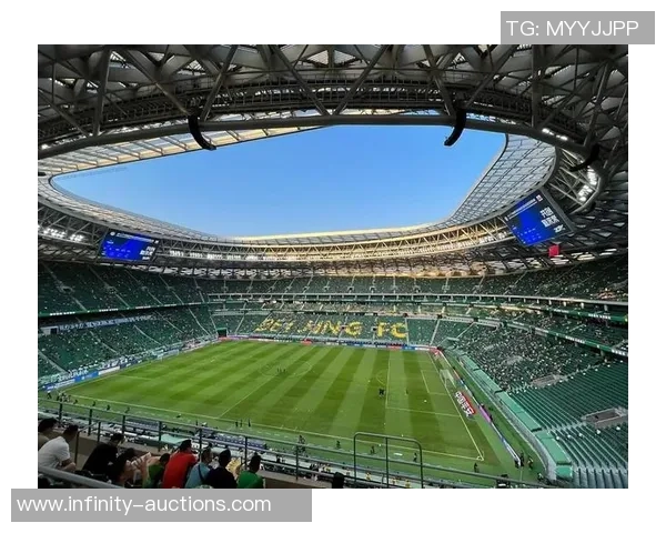 足球明星小格子如何在绿茵场上书写传奇人生与辉煌成就 足球明星小格子如何在绿茵场上书写传奇人生与辉煌成就